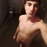 ccox Arto 093261911