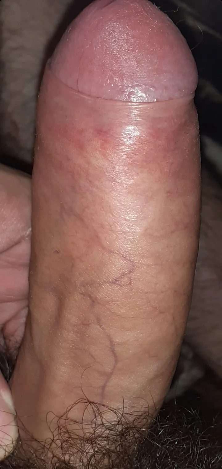 Ova ccum  klirs? Havanecir? - Photo #33852