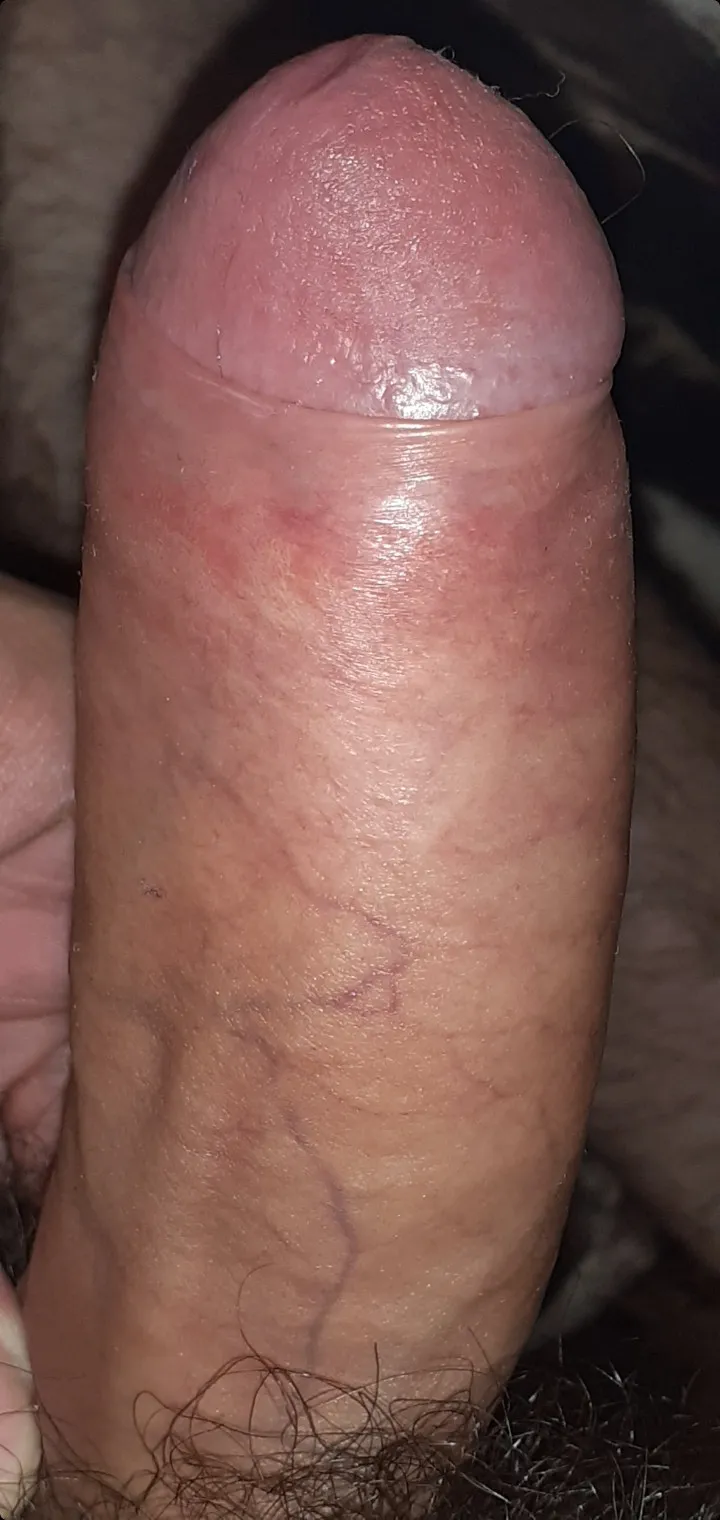 Ova ccum  klirs? Havanecir? - Photo #33853