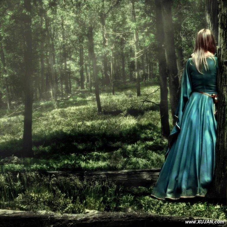 MORNING WOODS - Photo #37505