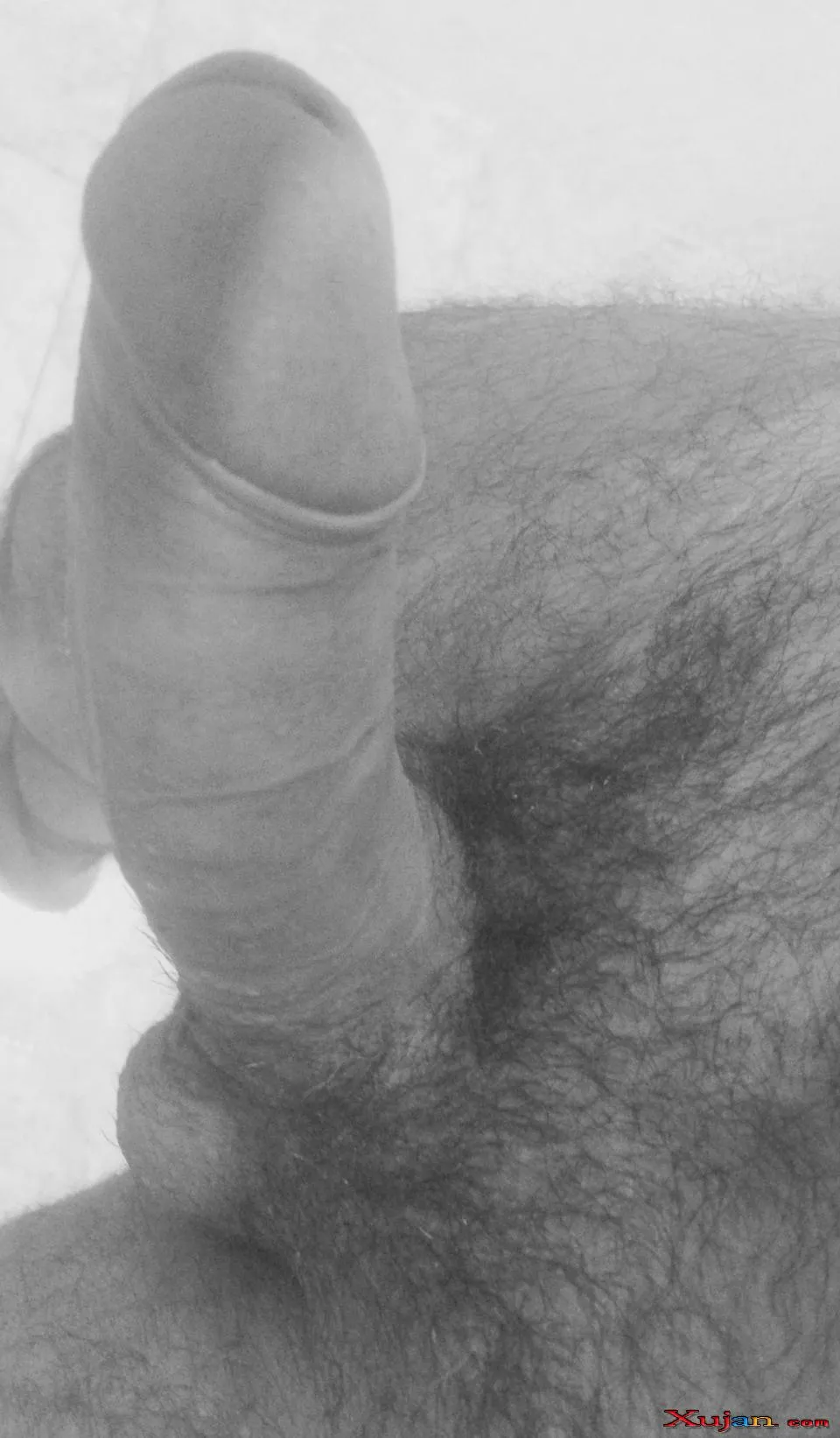 ))) - Photo #7101