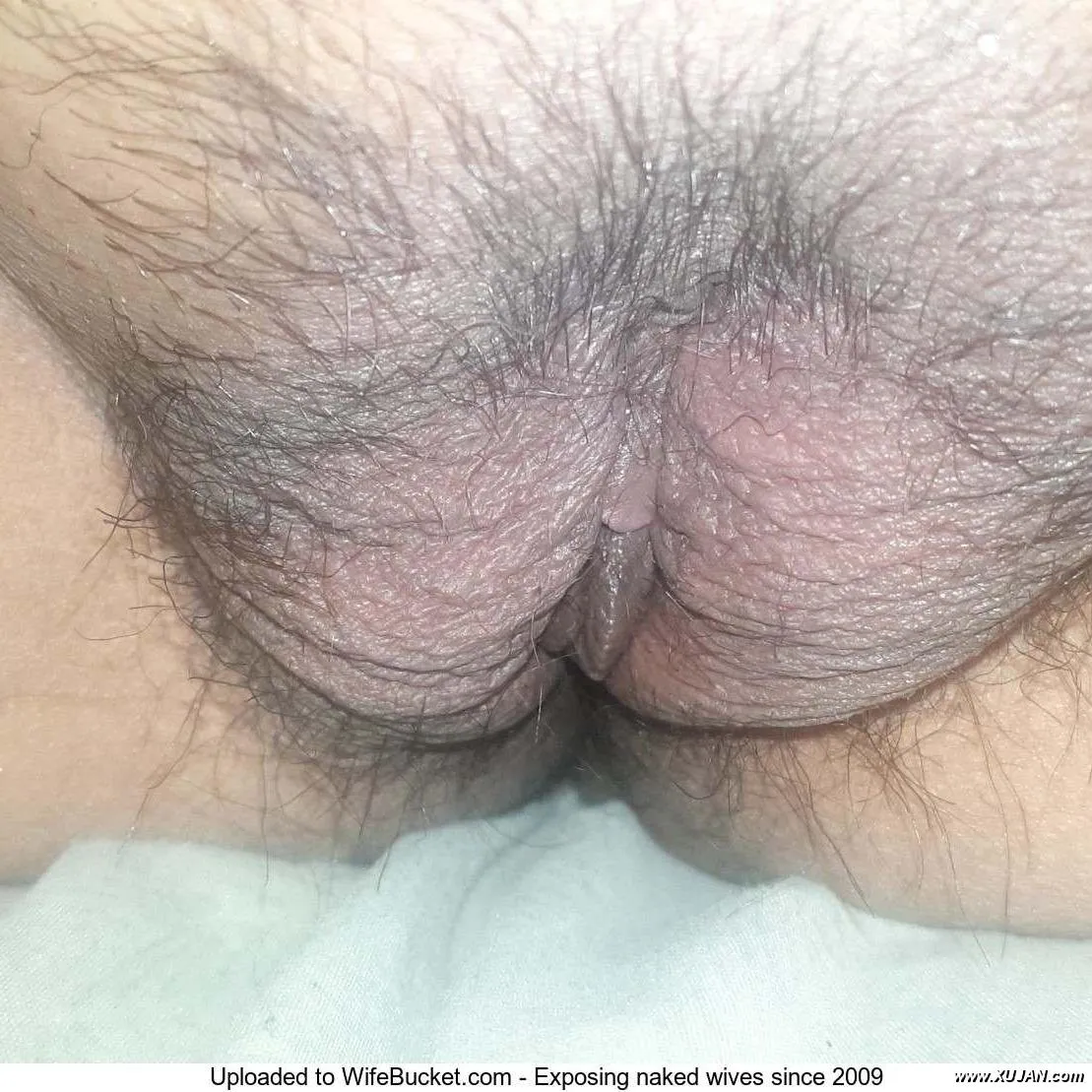 Janet has a meaty a tasty pussy - Photo #48589
