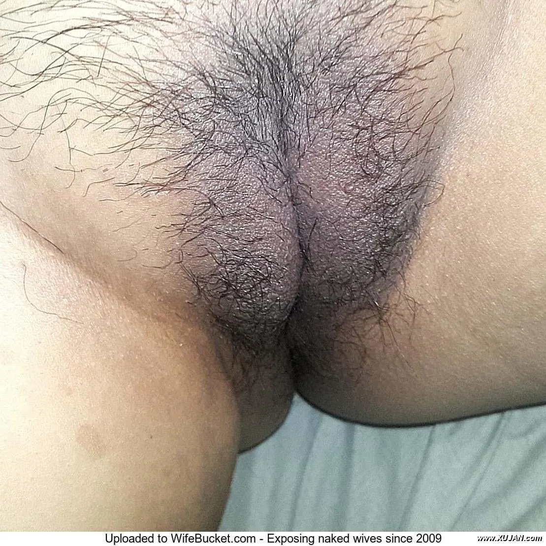 Janet has a meaty a tasty pussy - Photo #48597