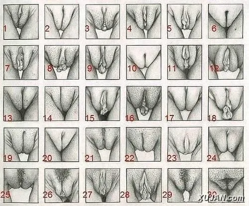 gyoteri mutq@ xstiv arqelvum em - Photo #7720
