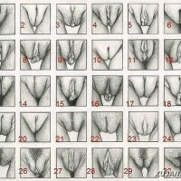 gyoteri mutq@ xstiv arqelvum em