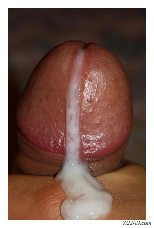 ,, - Photo #8035
