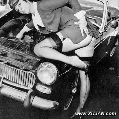 Vintage chicks outside fresh and free - Photo #69637
