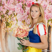 A beautiful flower