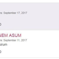 ES EM