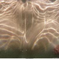 Amateur wives naked underwater
