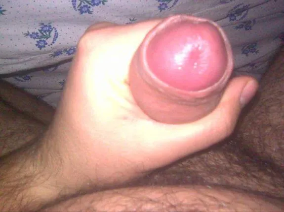 111 - Photo #1616