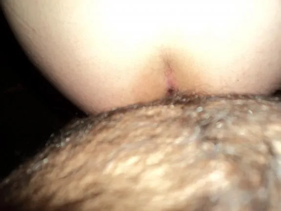 Sonan antarum - Photo #1743