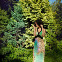 Stacy Bloom