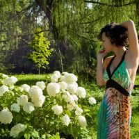 Stacy Bloom
