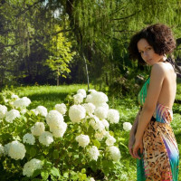 Stacy Bloom