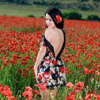 Lola Marron