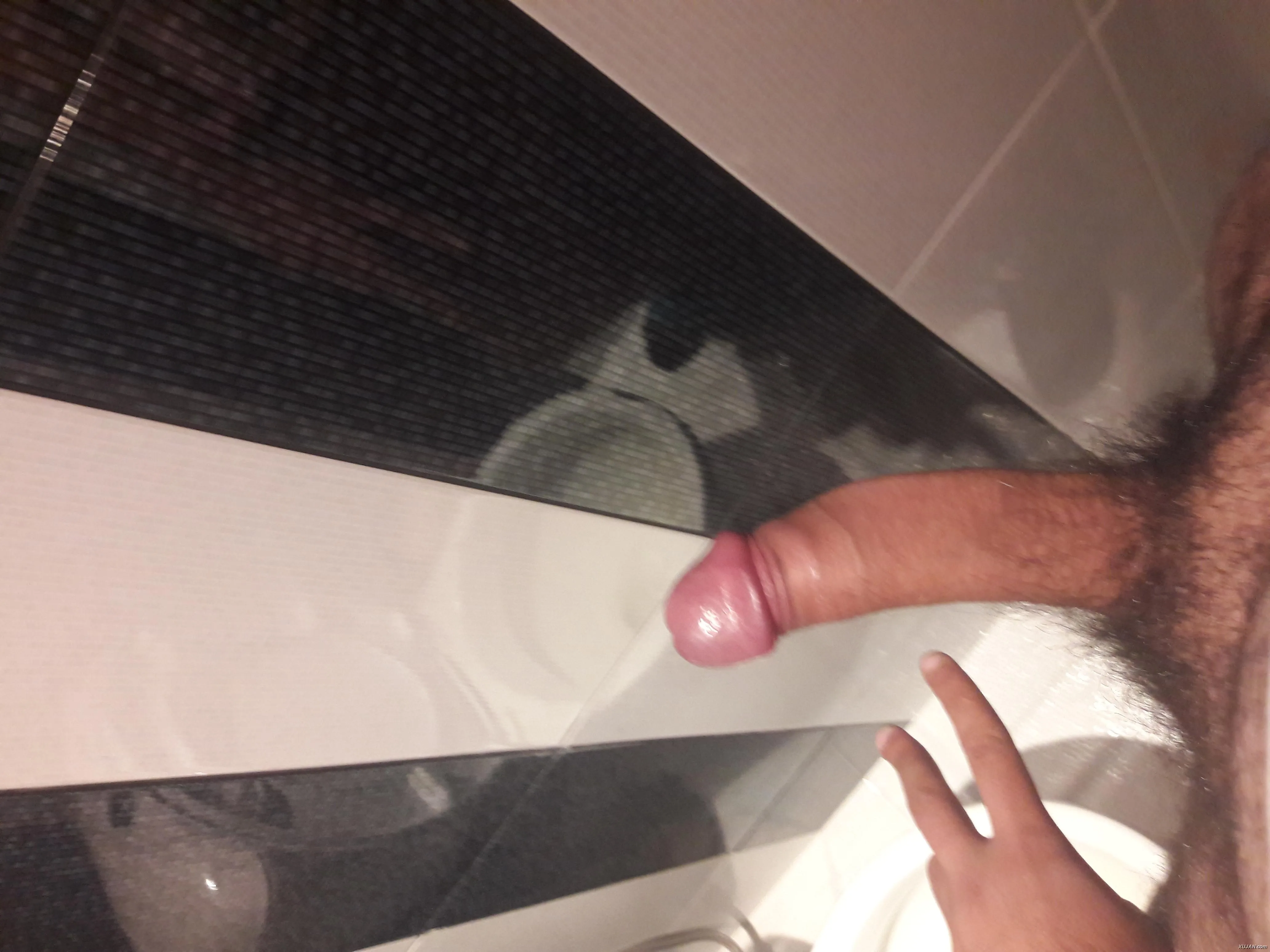 pcer greq - Photo #13504