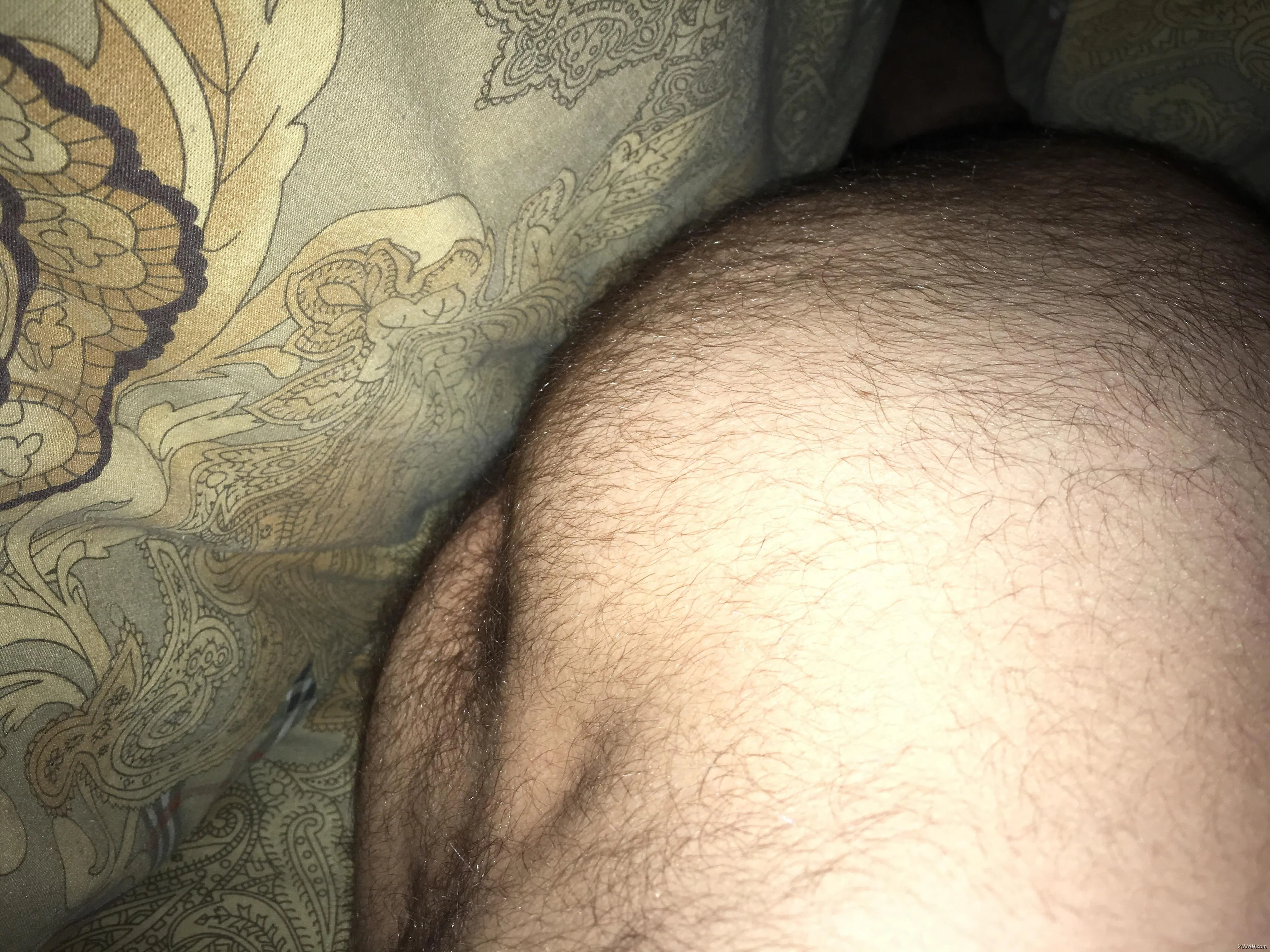 ccc - Photo #14578