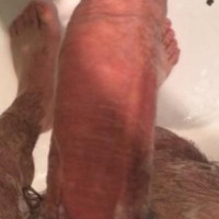 Ghj