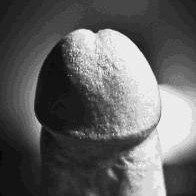SEX