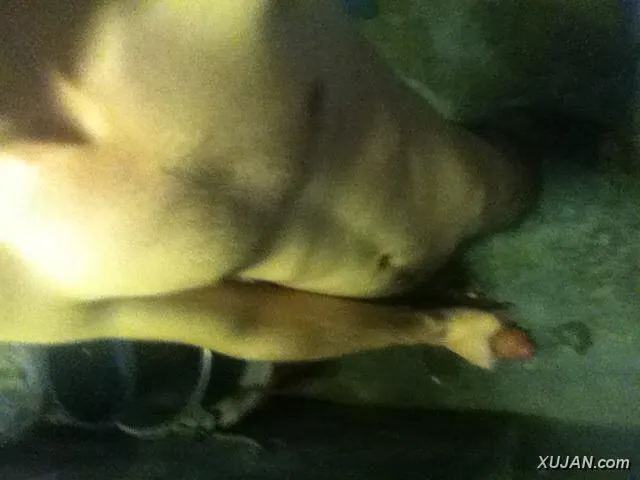 klirs - Photo #18090