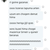 Skaypeov virt
