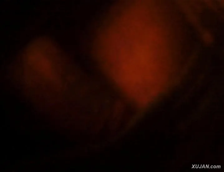 44hghgh - Photo #22024