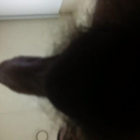 It's my :)