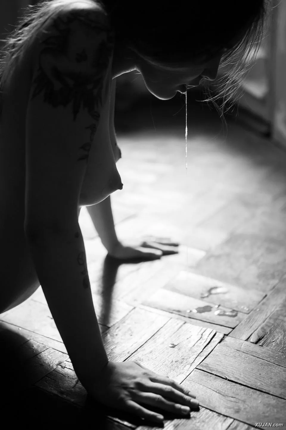 B. - Photo #22363