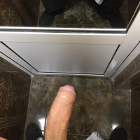 Ov kuzi