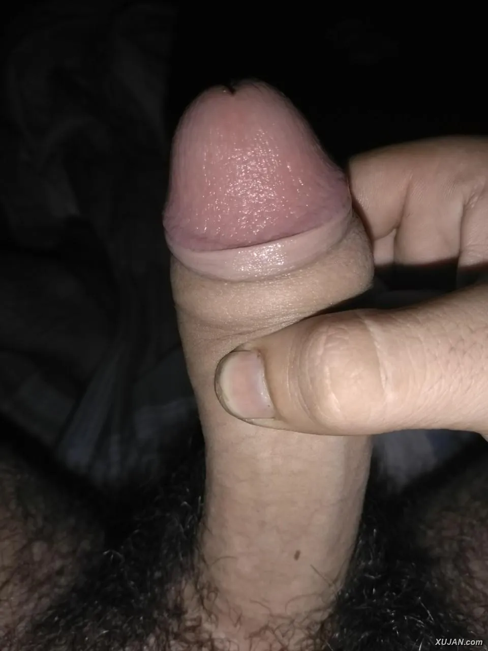 Uzumes  zgas - Photo #24643