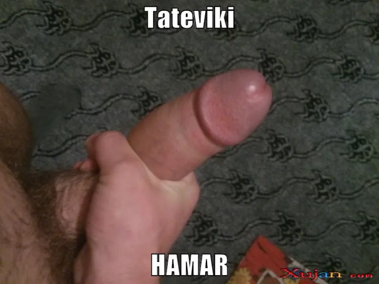 TATEVIN - Photo #4376