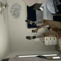 Kunvox