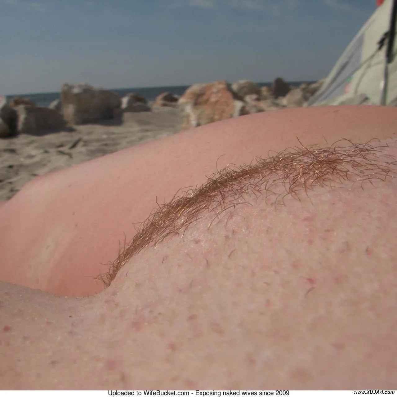 tanning her pussy on the beach - Photo #101581
