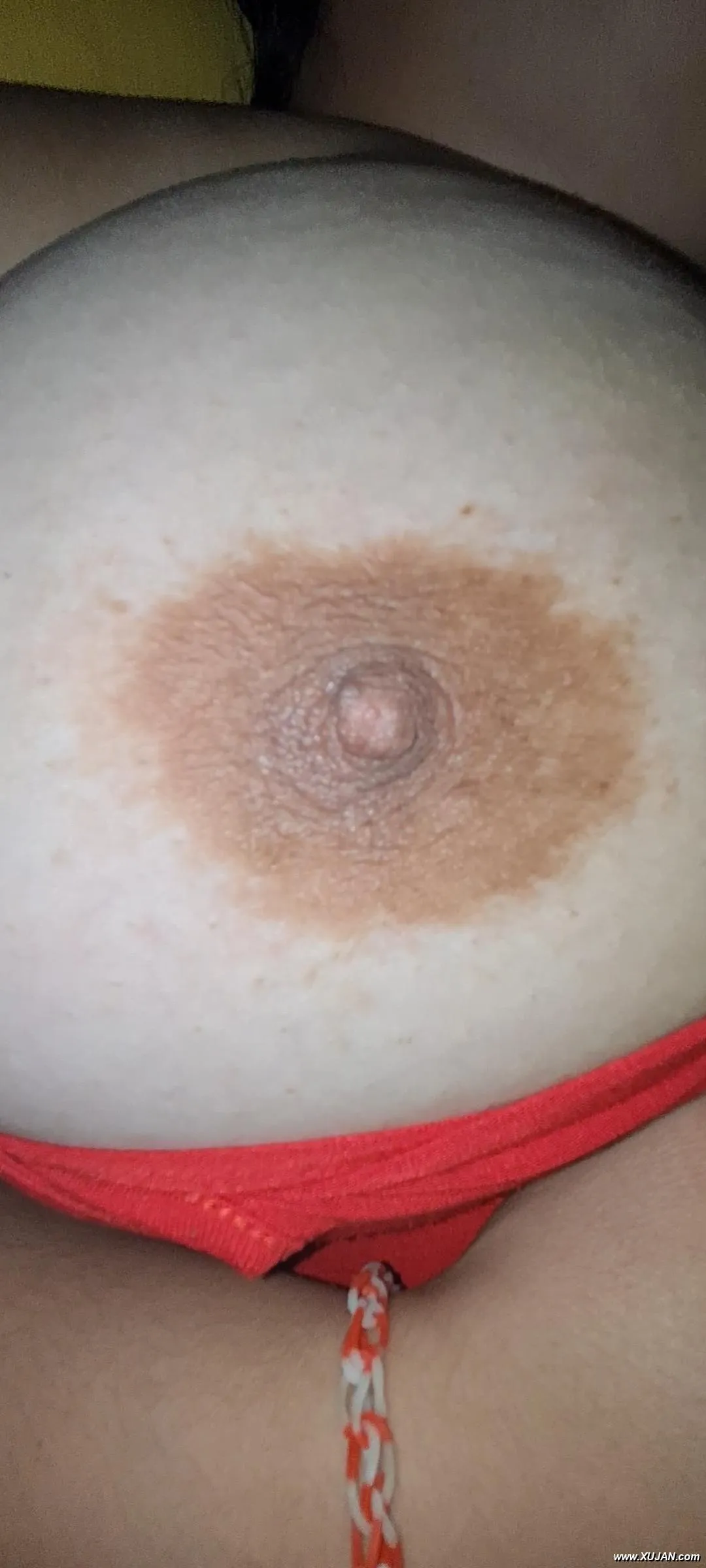Wife tits - Photo #117946