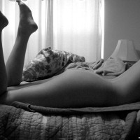 sccsacas
