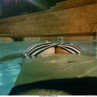 Vacation sex pics from this couple