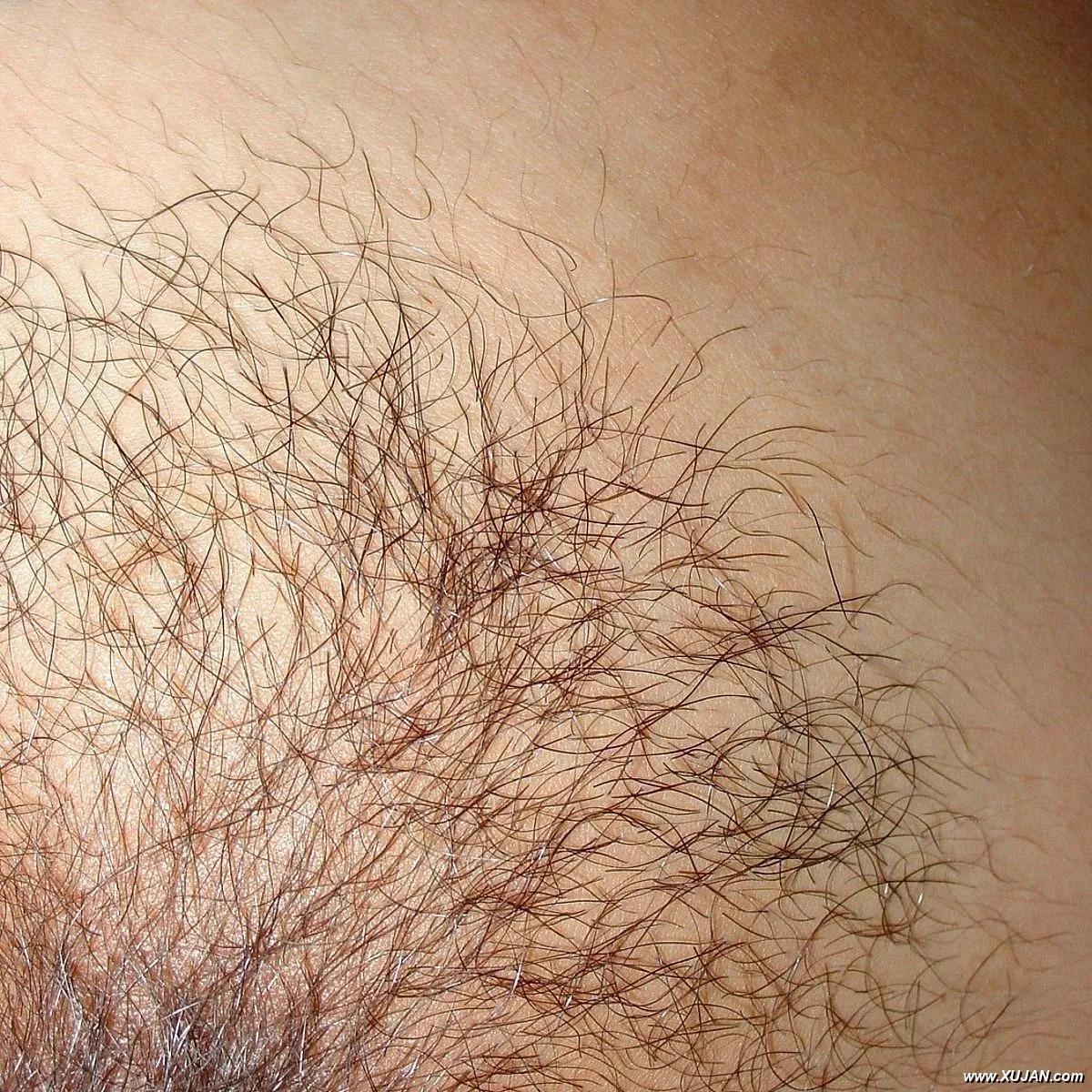 Sexy young girl with hairy pussy - Photo #160164