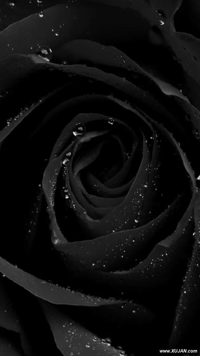 Gaxtniqs - Photo #164240