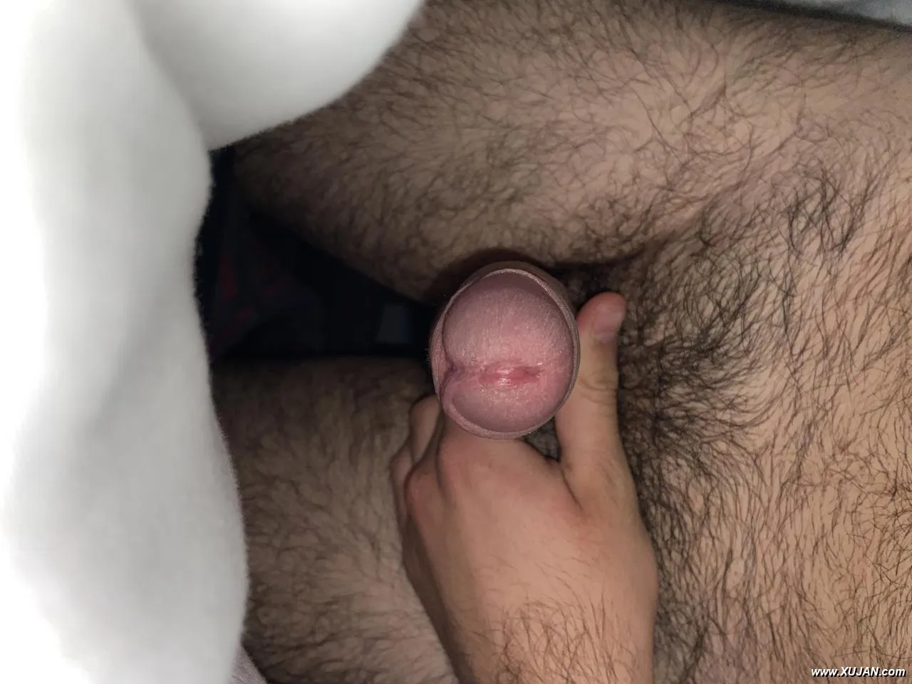 T - Photo #179311
