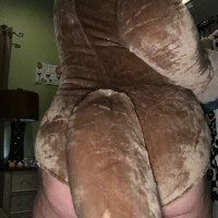 Eevee Pokeacutemon Cosplay