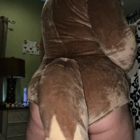 Eevee Pokeacutemon Cosplay