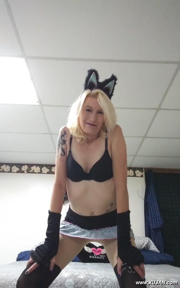 Frisky little kitty - Photo #241772