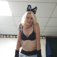 Frisky little kitty