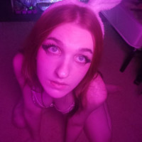 Little rabbit