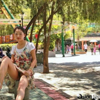 Mets takotsnerov aghjiky hanrutyan araj tsuyts e talis ir qrojy