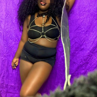 Ebony datavorner