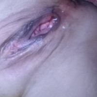 Goh Cougar pucy