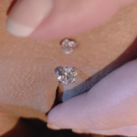 Lexis Smooth Pink Pierced pucy