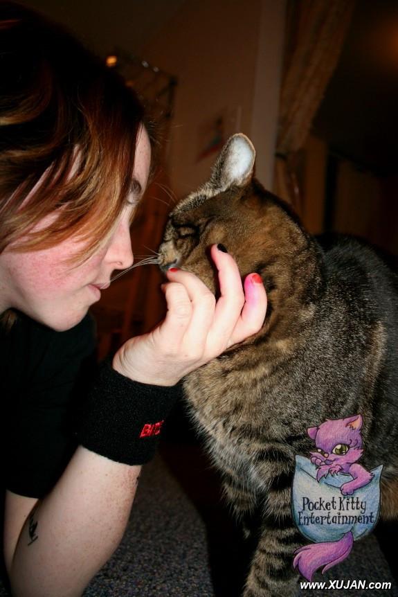 Pocket Kitty - Photo #288996